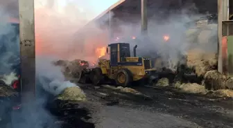 Vali Işık Yangın Bölgesinde İncelemelerde Bulundu