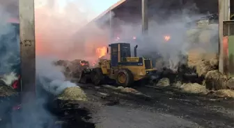 Son dakika! Vali Işık yangın çıkan çiftlikte incelemelerde bulundu