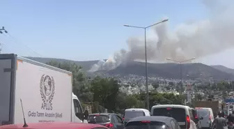 Son dakika haberleri! Bodrum'da makilik ve ormanlık alanda çıkan yangına müdahale ediliyor