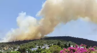 Bodrum'da yerleşim alanına 150 metre uzaklıkta yangın çıktı! Ekipler seferber oldu