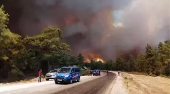 Kardeş Azerbaycan'dan 'Bugün fidan, yarın nefes' kampanyasına destek gecikmedi
