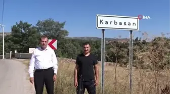 Kütahya'da Adaçayı hasadı başladı