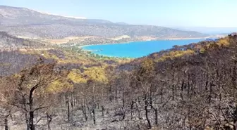 Son dakika haberi | Silifke'de orman yangını devam ediyor