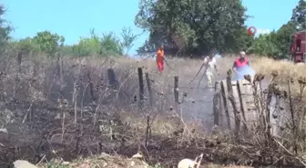 Sinop'ta çöpleri yakmak isterken yangına neden oldu