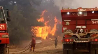 Son Dakika! Manavgat'ta alevlerin arasında kalan 2 yangın işçisi yaşamını yitirdi
