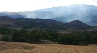 Tunceli Valiliği'nden 'yangın' açıklaması