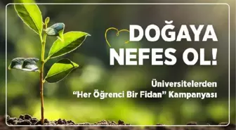 Üniversitelerden fidan bağışı