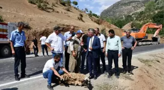 YOL ÇALIŞMASINI KURBAN KESEREK KUTLADILAR