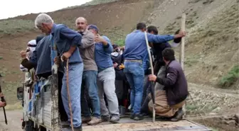 Yüksekova'da etkili olan sağanak, yayladaki koyun sürüsüne büyük zarar verdi