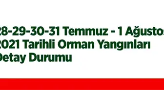 BAKAN PAKDEMİRLİ: SON 5 GÜNDE ÇIKAN 112 ORMAN YANGINININ 107'SİNİ KONTROL ALTINA ALDIK