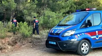 Çeşme'deki ormanlık alanlarda devriye nöbeti başladı