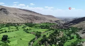 Mardin'in saklı cenneti: Gurs Vadisi doğasıyla hayran bırakıyor