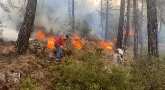 Son dakika haber... Seydikemer'de orman yangını