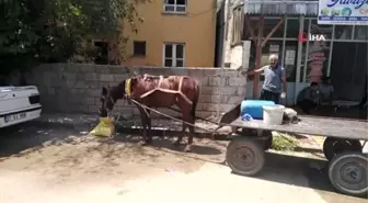 Aşırı sıcaktan bunalanlar derelerde ve akarsulara akın etti, sokaklar boş kaldı