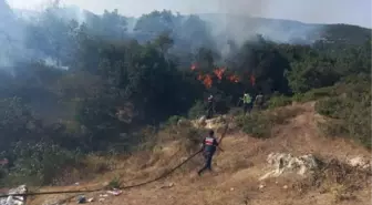 Son dakika haberi! BALIKESİR'DE ORMAN YANGINI; 20 DÖNÜM ALAN KÜL OLDU