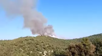 Son dakika haberleri... Demre'de de orman yangını çıktı