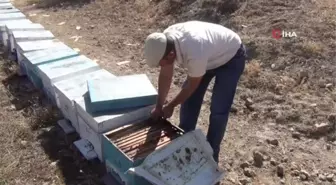 Son dakika haber | Muğla yangının ateşi Afyonkarahisar'daki arıcıları da sardı