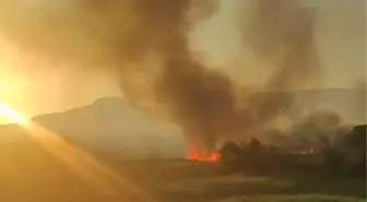 Son dakika haberi | ANKARA-NALLIHAN KUŞ CENNETİ'NDE ÇIKAN YANGIN KONTROL ALTINA ALINDI