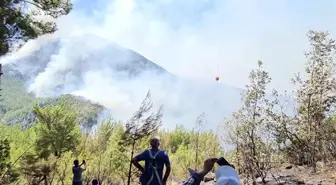 Marmaris Orhaniye yeniden yanmaya başladı