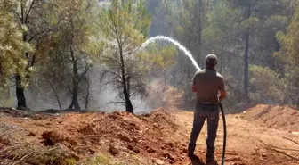 Uşak'ta çıkan orman yangını büyümeden söndürüldü