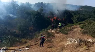 Akıma kapılan kargalar yangın çıkardı