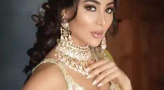 Aneesa Sharif, Bir Yıldızın Yükselişi
