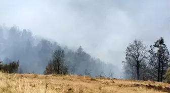 Buharkent ve Kuyucak'ta faciadan dönüldü