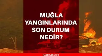 Muğla, Milas'da son durum nedir? Muğla yangın son dakika! Son Dakika- Milas, Bodrum ve Kavaklıdere yangınları devam ediyor mu?