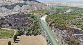 Nallıhan Belediye Başkanı Öntaş: 'Kuşlarımızın yaşadığı bölgeye yangın sıçramadan önledik'