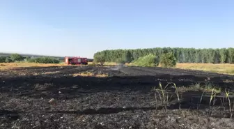 Tahribatın önüne geçmek için 'anız yakmanın cezalandırılması' çağrısı