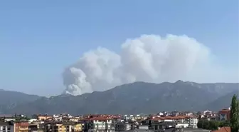 Son dakika haberleri | Tavas'da orman yangını