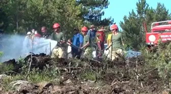 Tavşanlı'da ormanlık alanda çıkan yangın büyümeden söndürüldü