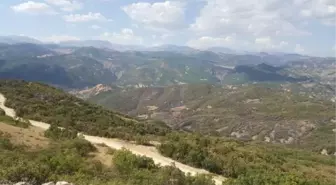 Tunceli'de ormanın 2 gün yandığı bölgede soğutma çalışması sona erdi