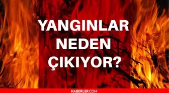 Yangınlar neden çıkıyor? Türkiye'de yangınların sebebi ne?