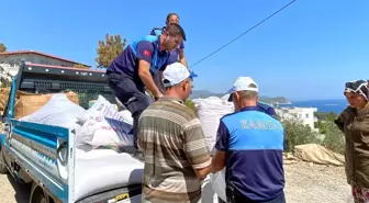 Son dakika haber: Akdeniz Belediyesi, yangın bölgesinde yaraları sarmaya devam ediyor