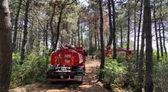 Son dakika haberi: Beykoz'da 15 Temmuz gazisinin öldürülmesine ilişkin yakalanan iki şüpheli adliyeye sevk edildi