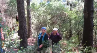 Beykoz'da ormanlık alanda çıkan yangın kontrol altına alındı