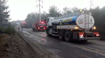 Beypazarı Belediyesinden Muğla'daki yangın bölgesine destek