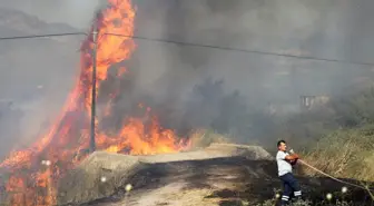 Son dakika haberleri | Dikili-Salihler'de çıkan yangın kontrol altına alındı