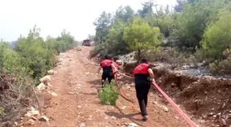 Emniyet Genel Müdürlüğü birlikleri orman yangınlarıyla mücadelede, Antalya'daki ekiplere destek veriyor