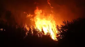 Hatay'da otluk yangını kontrol altına alındı