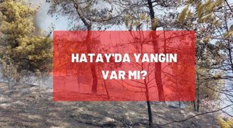 Hatay'da yangın son dakika! Hatay'da yangın var mı? Hatay'da devam eden yangın var mı?