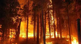 Her felakette ortaya çıkıyorlar! Fırsatçılar, yangın malzemelerine son bir haftada yüzde 630'lara varan zam yaptı