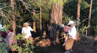Son dakika haber! Manavgat'taki büyük yangın 8'inci gününde (5)