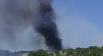 Nallıhan'da ormanlık alandaki yangın söndürüldü