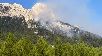 Son dakika haberleri... Seydikemer'deki yangın kısmen kontrol altına alındı