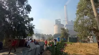 Son dakika haberleri... Termik santralde başlayan yangını mutfak personeli söndürdü