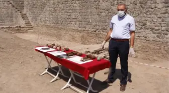 Son dakika haberleri! Amida Höyük'teki kazılarda bulunan el bombaları sergilendi