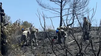 Hatay'da komandolar yangın söndürüyor