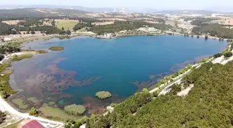 Son dakika haberleri | Jandarmadan ormanlık alanlarda dronlu denetim